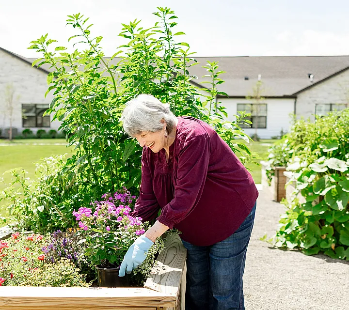 Charming senior woman gardening in vibrant and lush community garden, showcasing a warm and inviting residential atmosphere.
