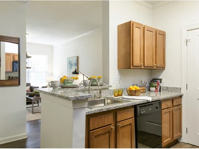 Upgraded Kitchen with Granite Countertops The Flatts Salisbury | Apartments In Salisbury, MD