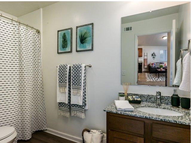 Private Bathroom With Granite | The Preserve at Tuscaloosa | UA Off Campus Housing