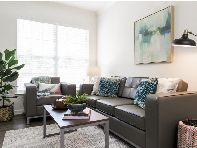 Furnished Living Room The Flatts Salisbury | Apartments In Salisbury, MD