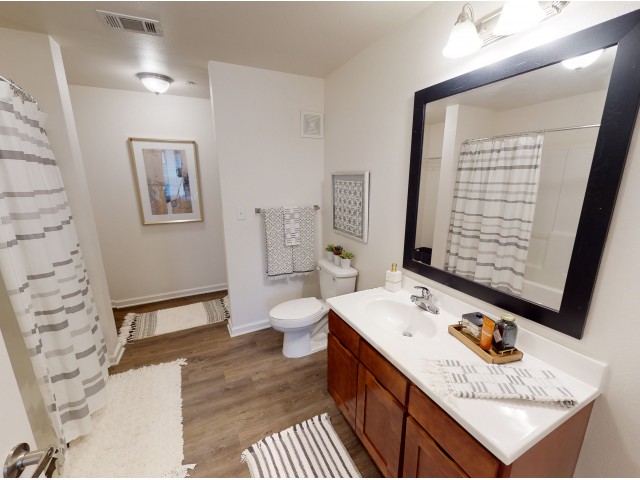 Private Bathroom  | Trifecta Apartments | Louisville, KY Apartments