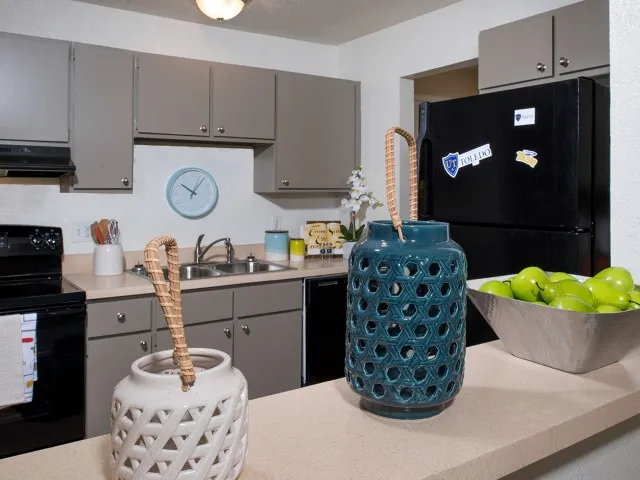 Black-on-Black Appliances | Kitchen | University Hills | Apartments Toledo Ohio