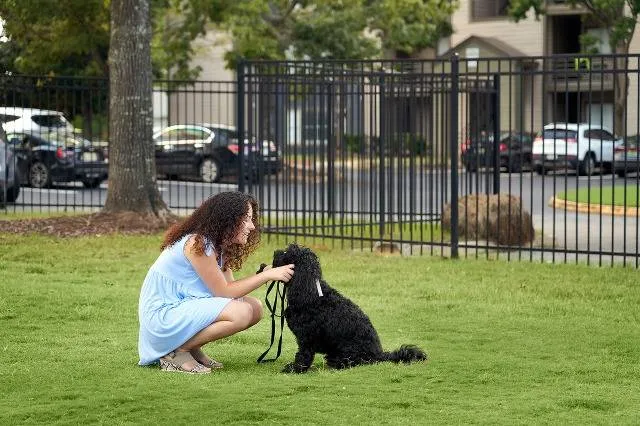 Pet Friendly The Preserve at Tuscaloosa
