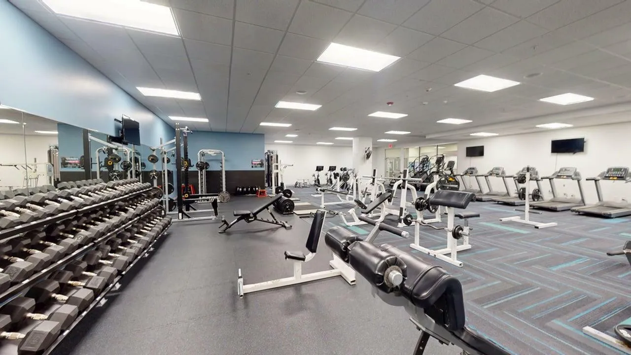 Spacious modern gym with an array of equipment including treadmills, weight benches, and free weights, perfect for fitness enthusiasts.