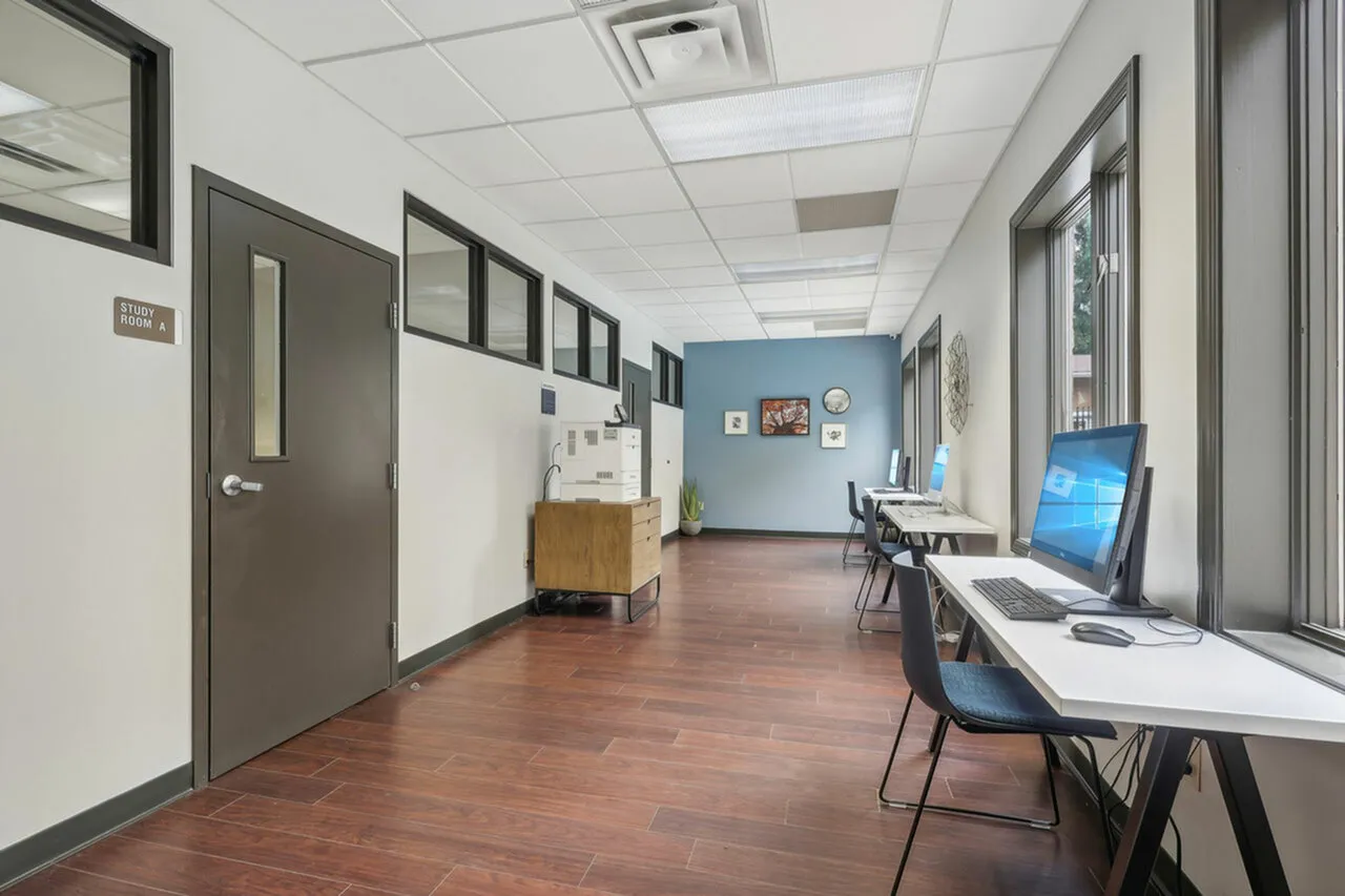 Modern study room with sleek workstations, natural light, and wood floors, perfect for productivity and focus.