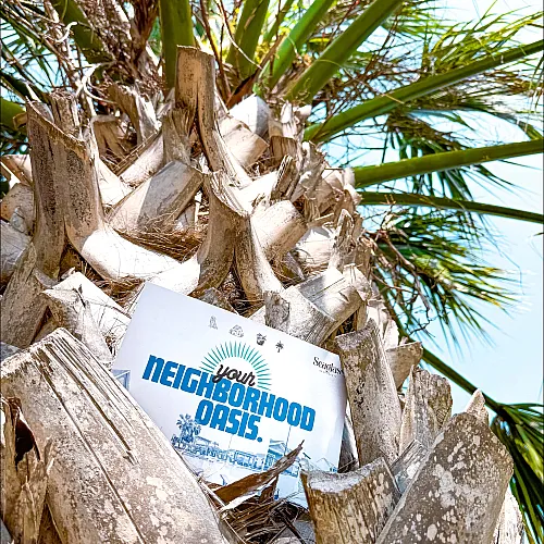 Inviting flyer titled 'Your Neighborhood Oasis' nestled in the textured bark of a vibrant palm tree under a sunny blue sky.