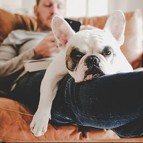 man on couch with dog
