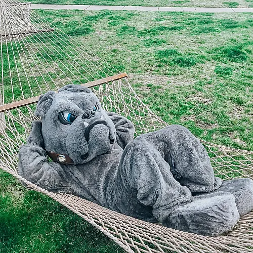 Charming outdoor space with a hammock, perfect for relaxation, surrounded by green lawns and cozy homes.
