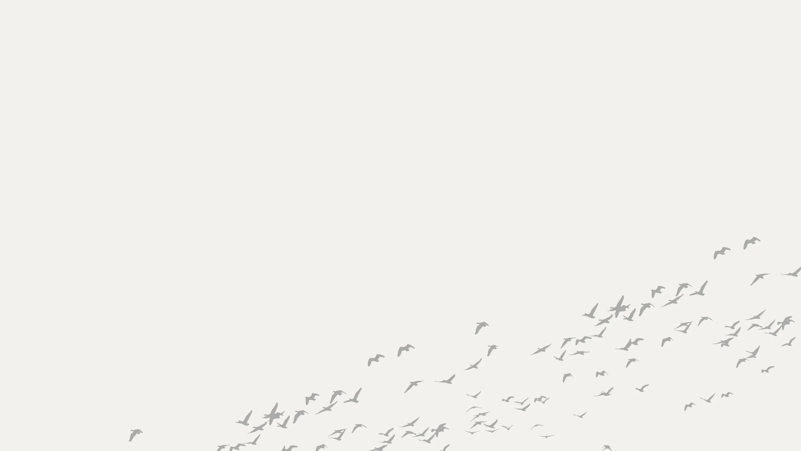 Scenic design featuring a flock of birds soaring across a tranquil sky, evoking a sense of freedom and serenity.