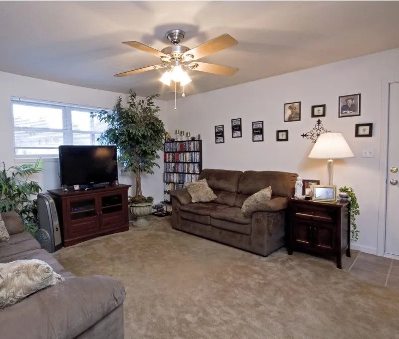 Cozy living room at Harvard Apartments featuring plush carpet, two couches, a ceiling fan, entertainment center, and decorative wall art.
