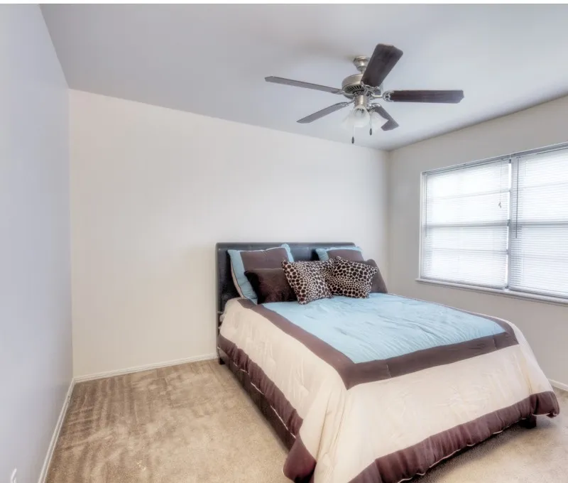 A minimalist bedroom with a queen-sized bed featuring blue and brown bedding, a ceiling fan, beige carpet, and sunlight streaming through a large window.