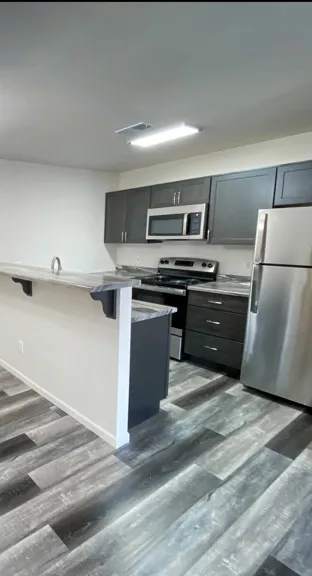 Modern kitchen with sleek countertops, stainless steel appliances, dark cabinets, and wood flooring. The tone is clean and contemporary.