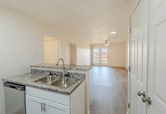 Open-concept layout showing the kitchen sink with dual basins, a bar-height counter, and a view into the spacious living area with backyard access.