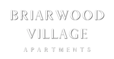 Elegant Briarwood Village Apartments logo on a sleek black background, showcasing luxury and sophistication.
