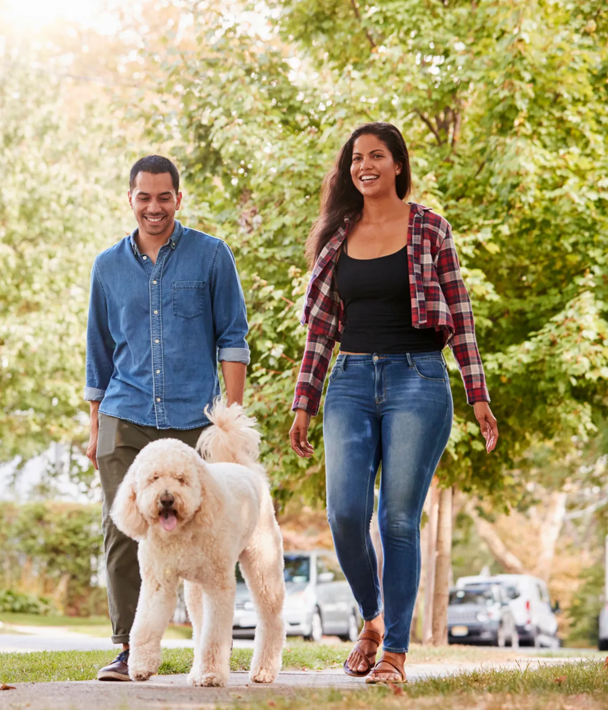 Happy couple enjoying a sunny walk with their fluffy dog on a tree-lined street.