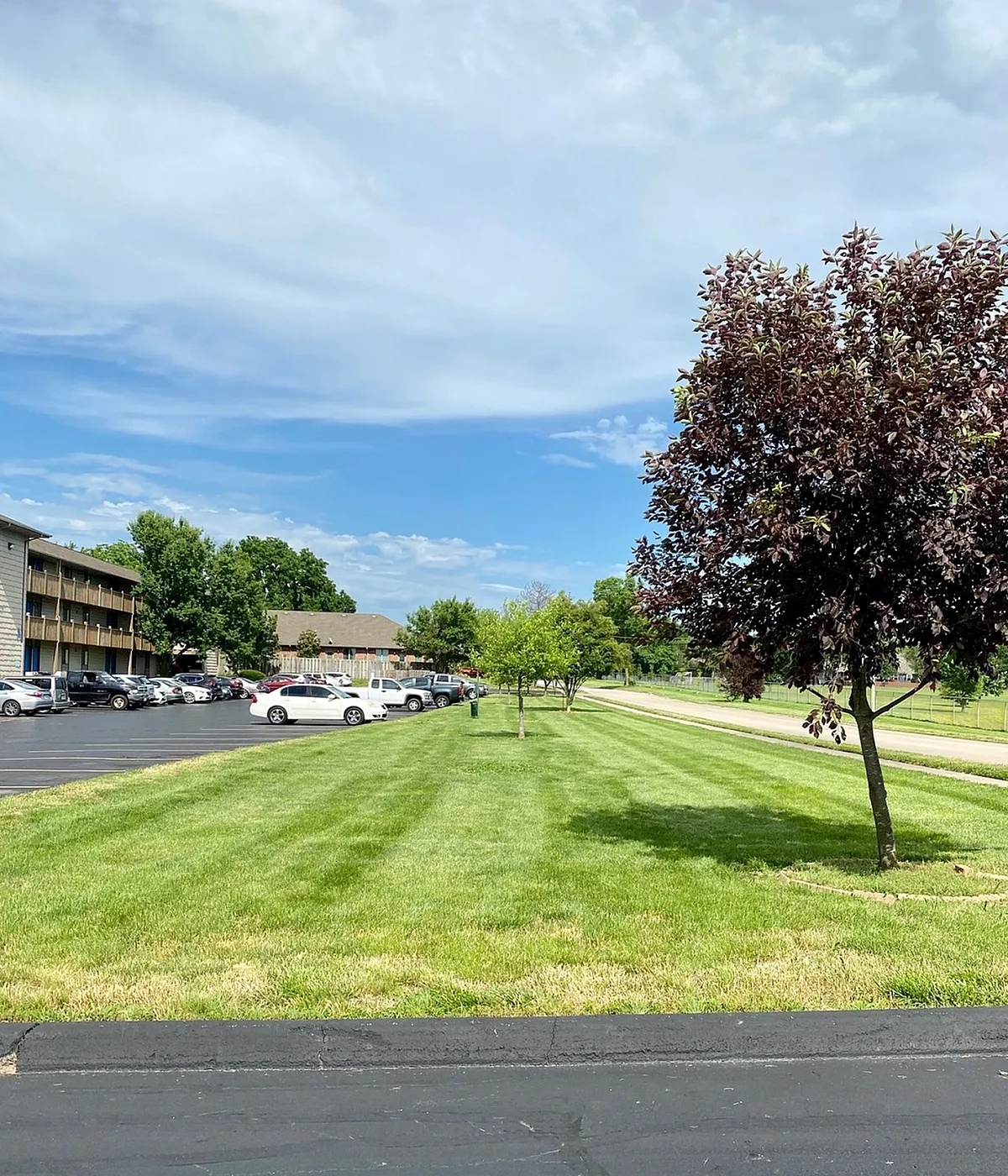 Tranquil apartment complex view featuring spacious green lawns, mature trees, and ample parking under a sunny sky.