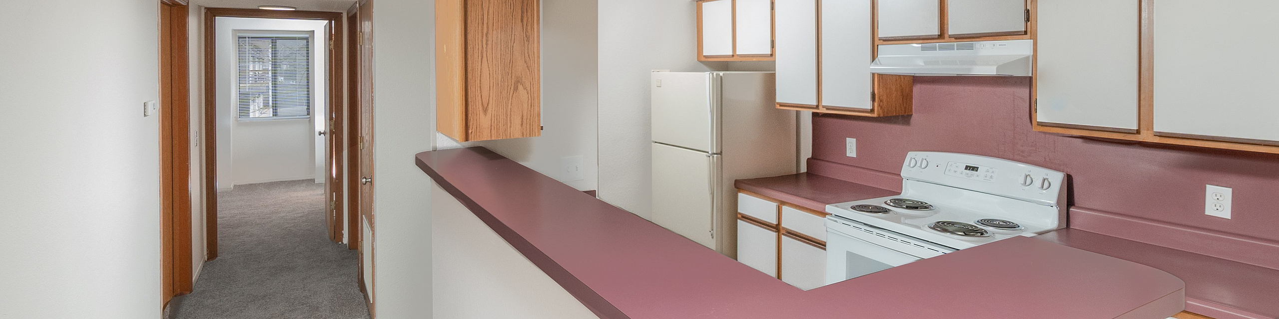 Charming apartment kitchen with sleek countertops, ample cabinetry, and a cozy carpeted hallway leading to bright rooms.