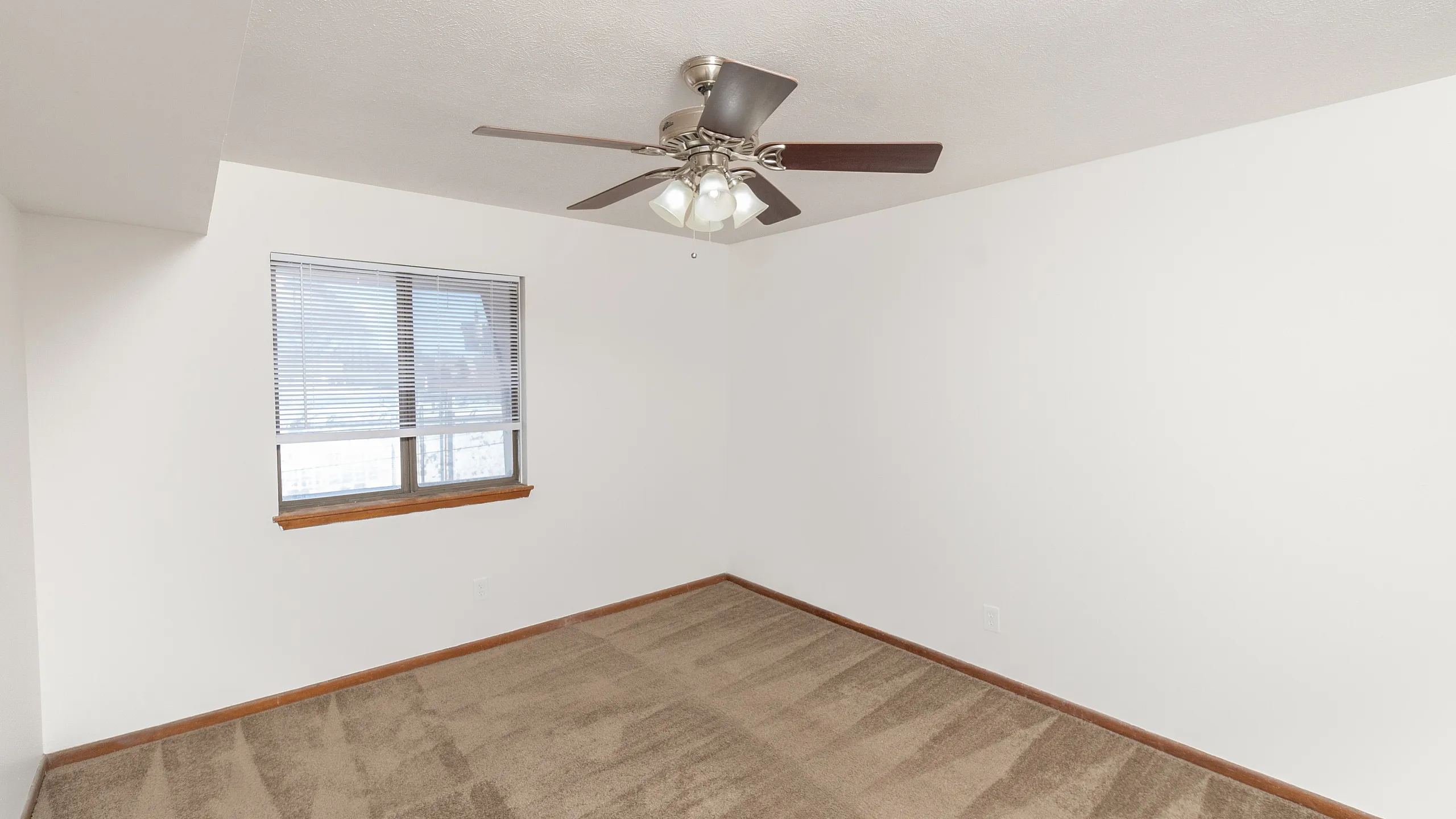 Bright and airy room featuring plush carpet, a modern ceiling fan, and a large window bringing in natural light.