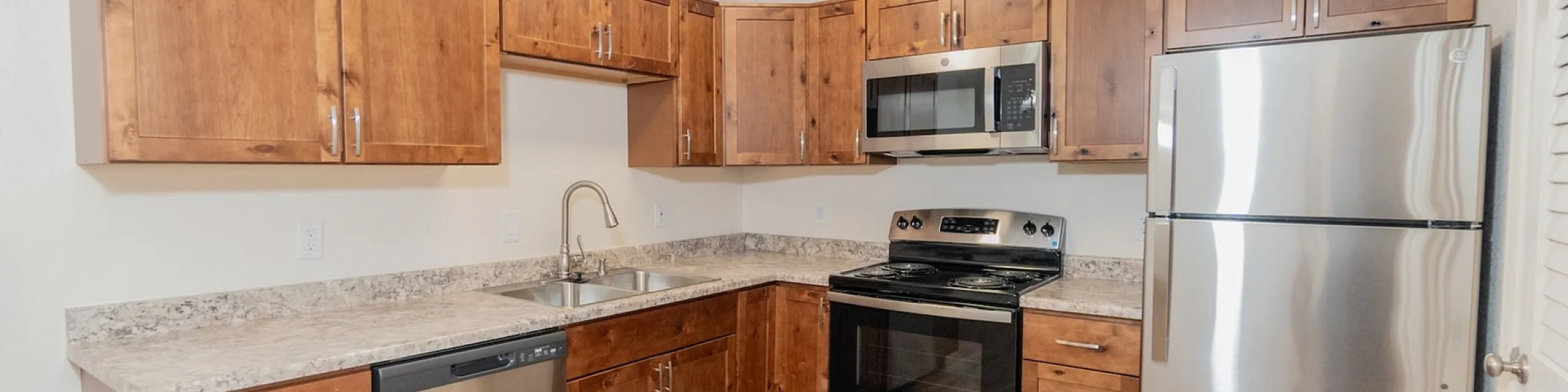 Modern kitchen with sleek stainless steel appliances, rich wooden cabinetry, and expansive countertops for a stylish cooking space.