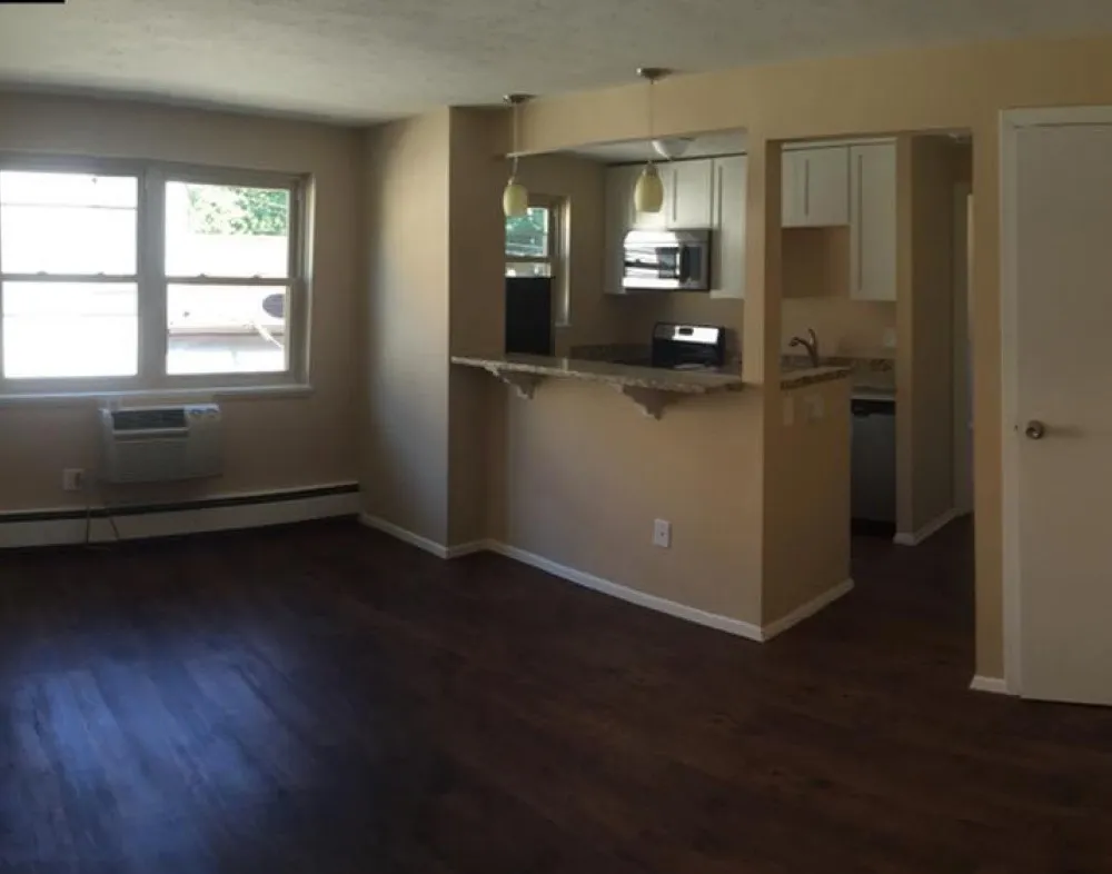 Kitchen, dining, and living room