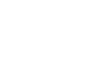 The Fourty One Logo