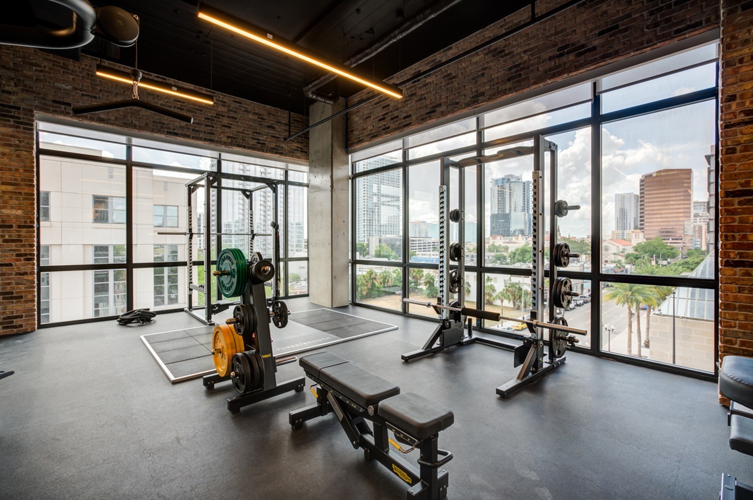 Squat Racks
