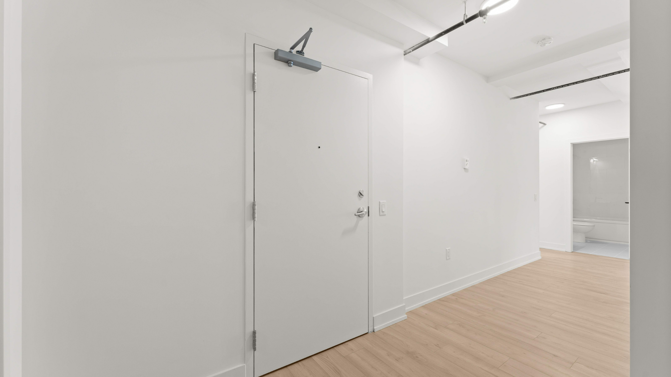 Bright, modern entryway with sleek white door and elegant wood flooring, leading to an inviting interior space.