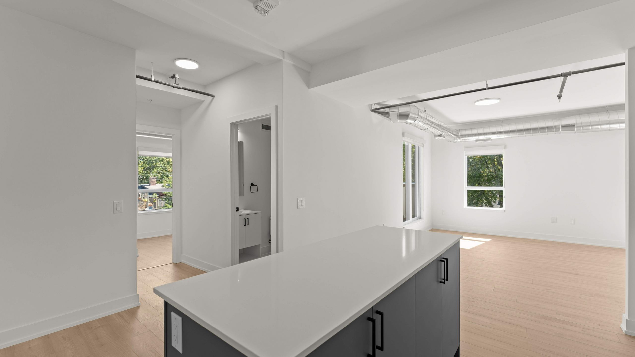 Modern apartment interior showcasing an open-plan kitchen with sleek cabinetry, bright living area, and large windows for natural light.