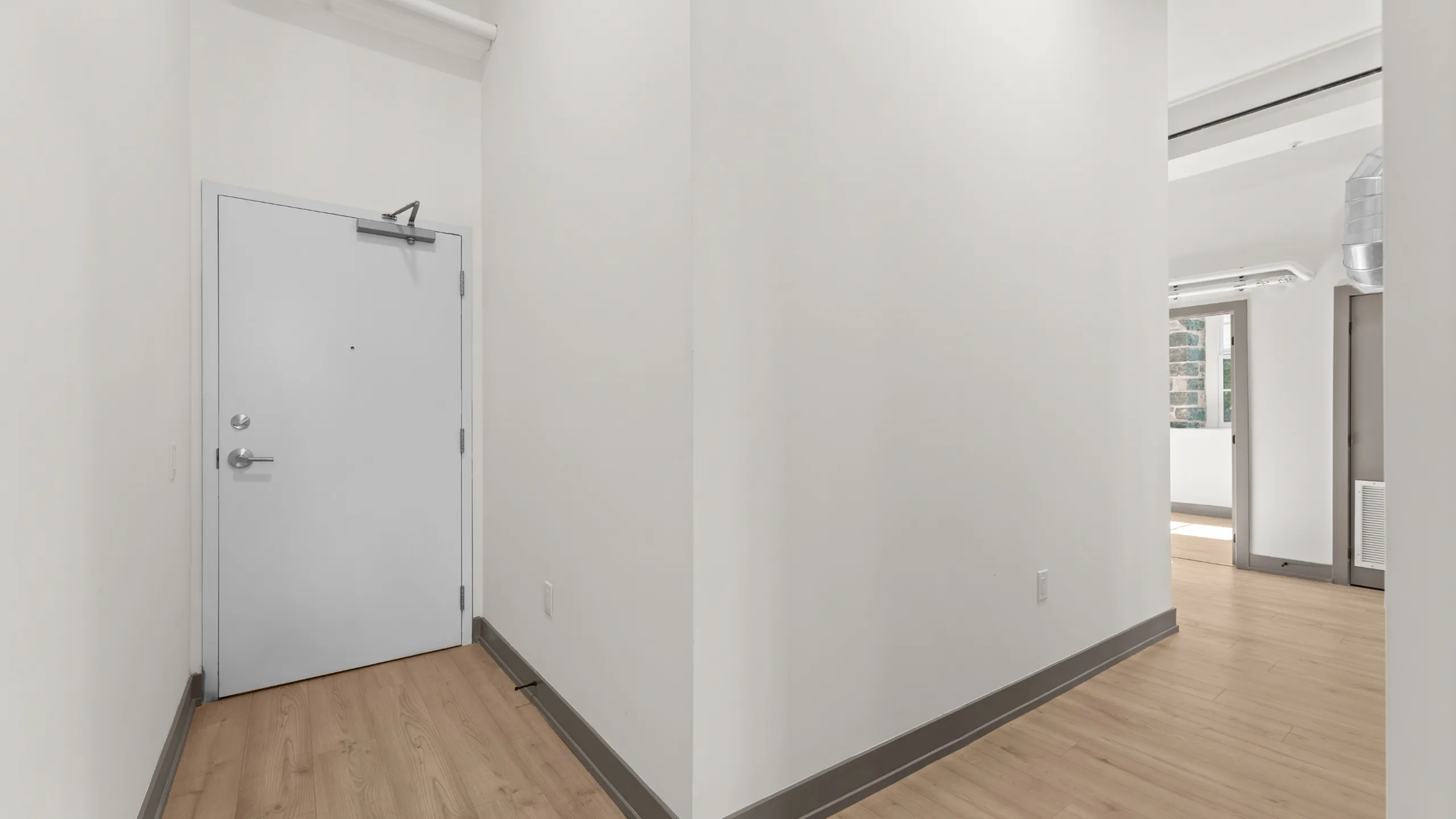 Sleek apartment entryway with modern hardwood flooring and bright natural light.