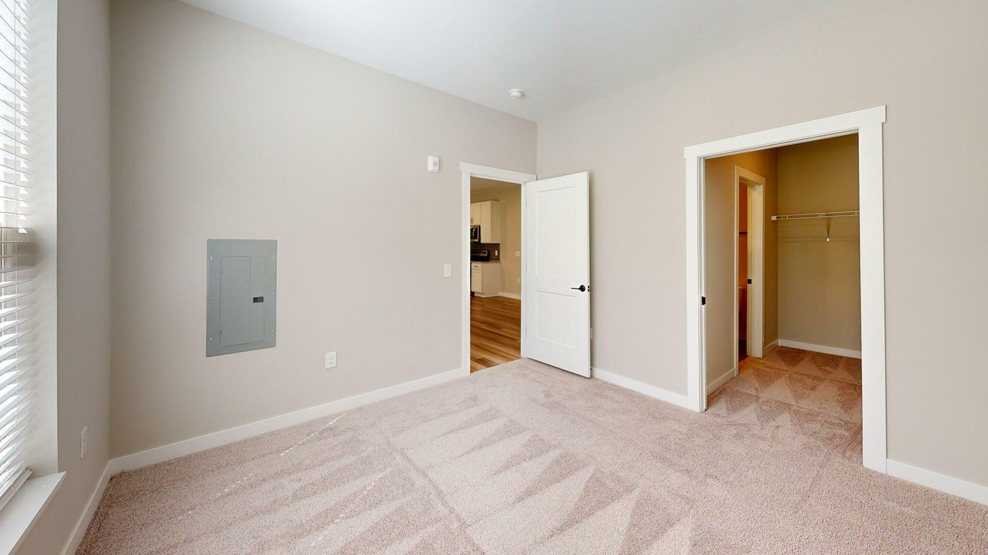 Bright and cozy bedroom featuring soft carpet and a spacious walk-in closet.