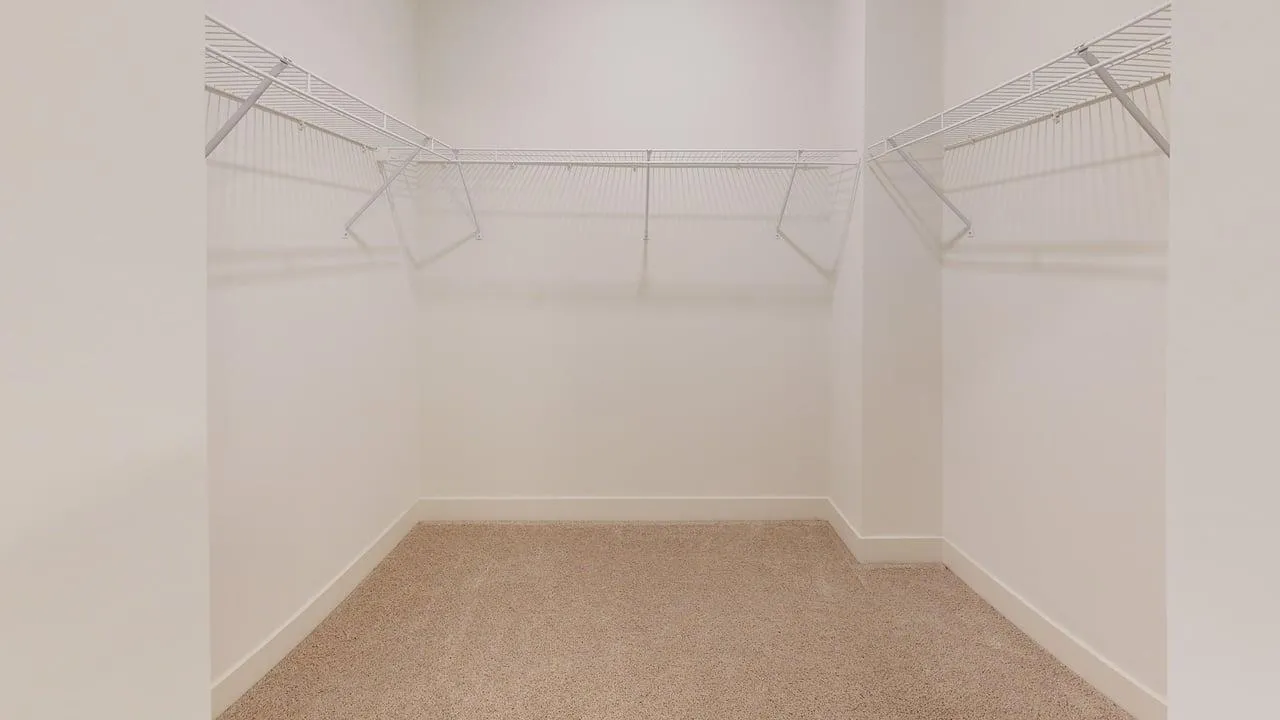 Spacious walk-in closet with neutral carpet and ample shelving space for organized storage.