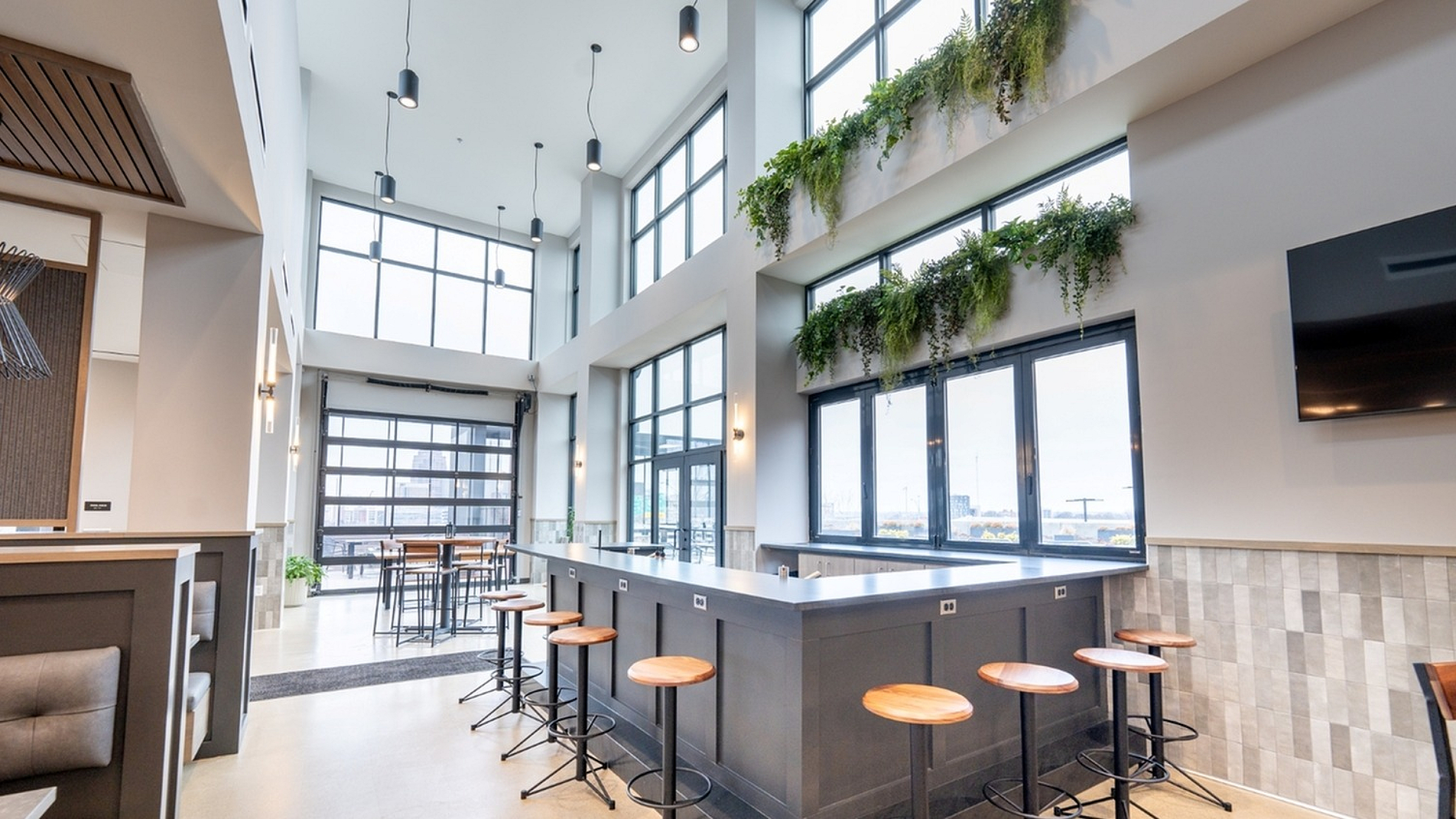 Bright modern lounge with high ceilings, large windows, and hanging greenery.