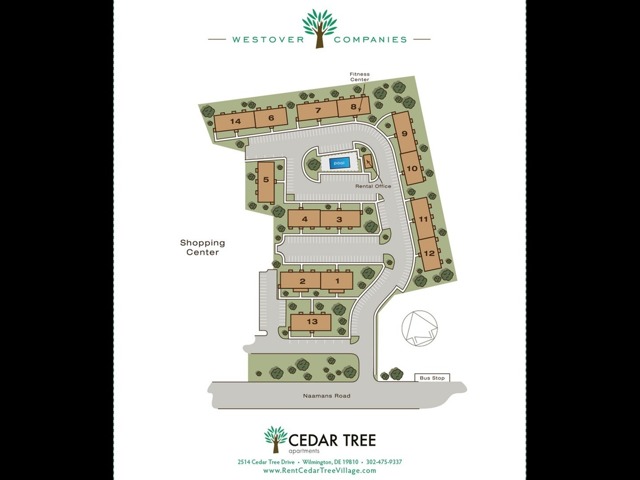 Cedar Tree Site Map