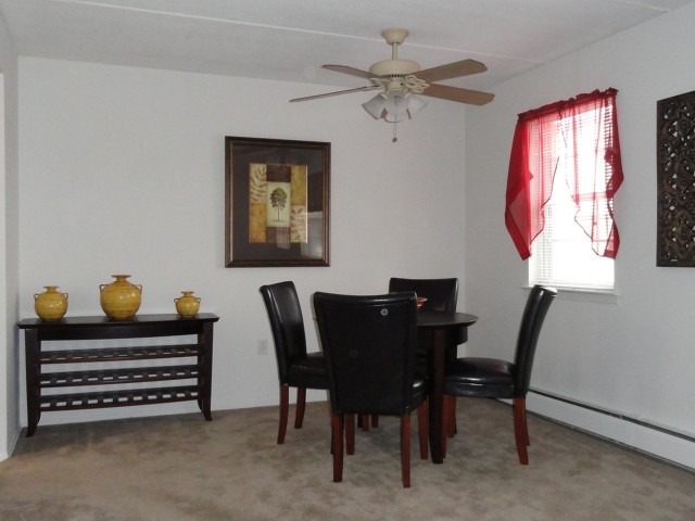 Image of Ceiling Fan for Woodland Plaza Apartments