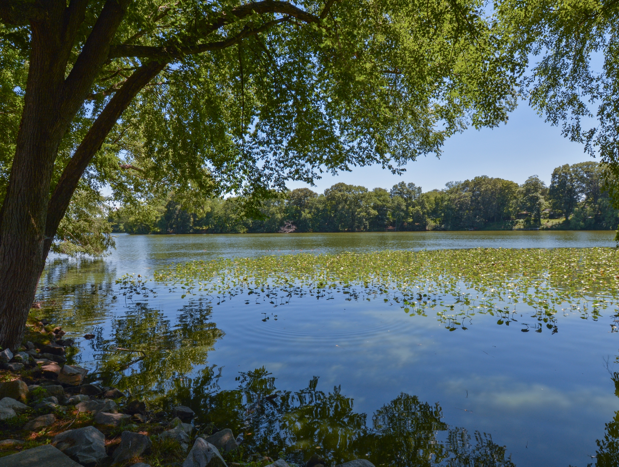Resident Children\'s Playground | Apartments Homes for rent in Dover, DE | Lake Club Apartments