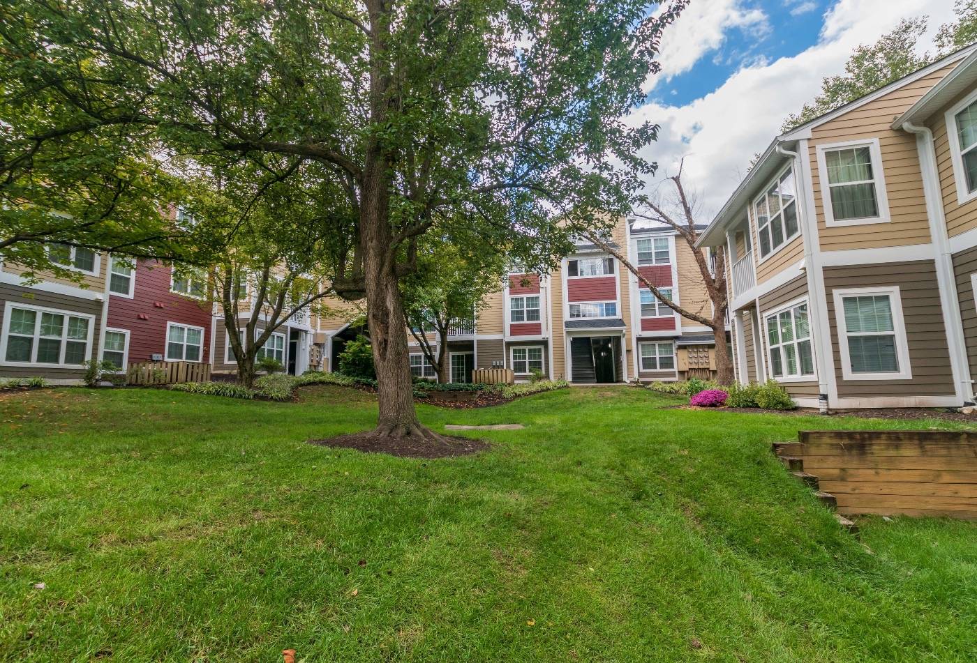 Read Resident Reviews Spring House Apartments