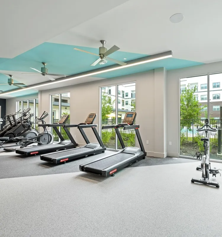 fitness