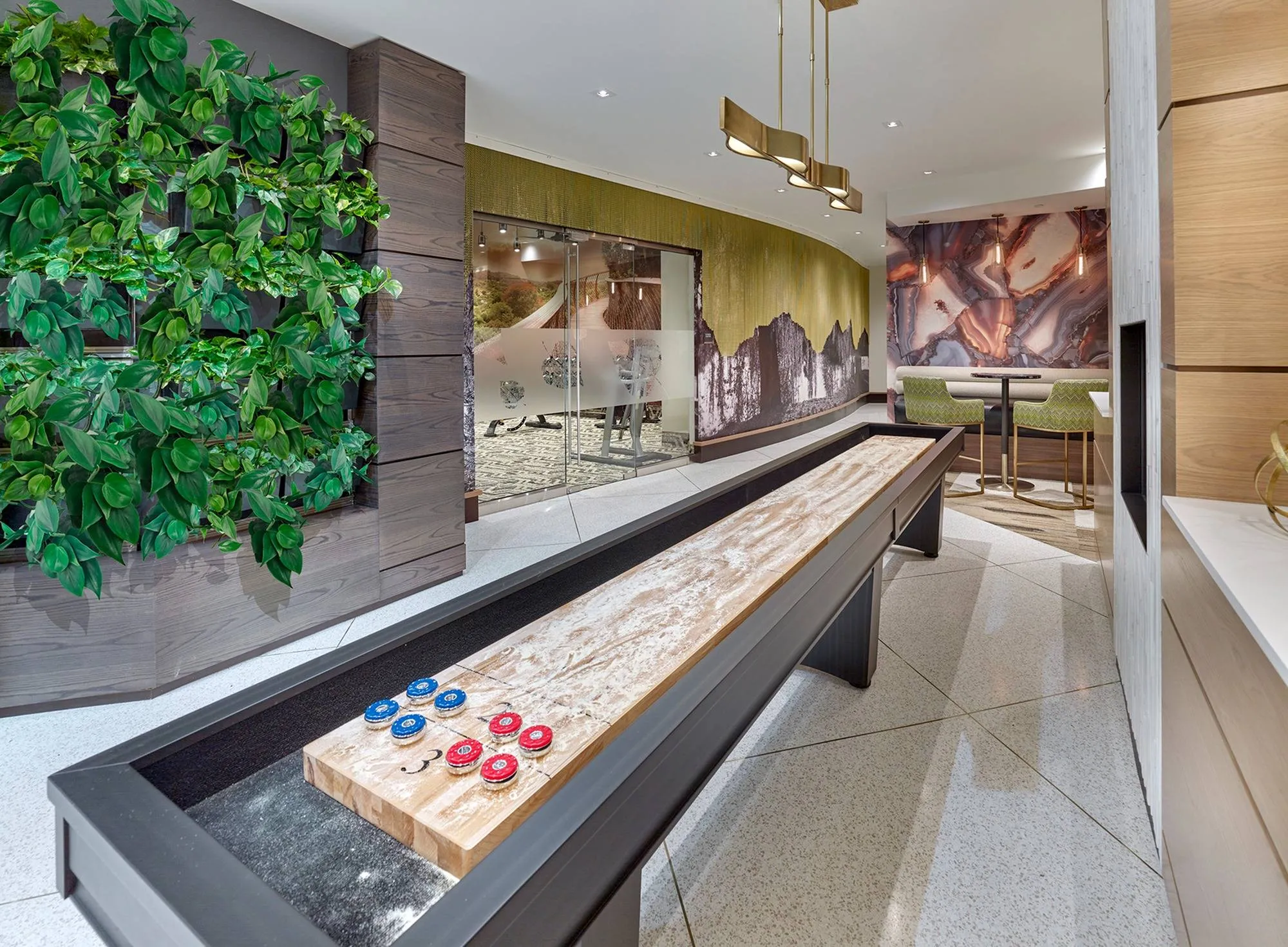 Shuffleboard