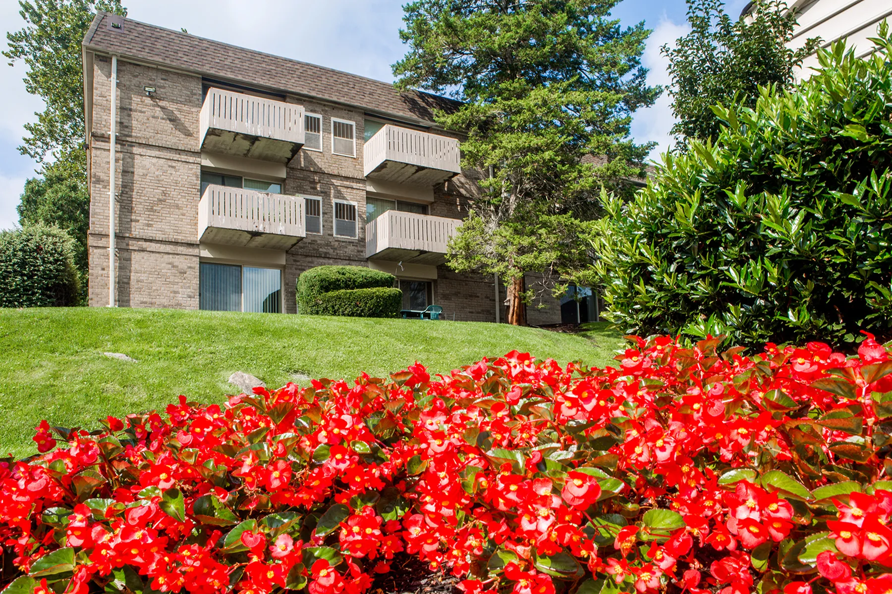 Outdoor view of apartment and grounds