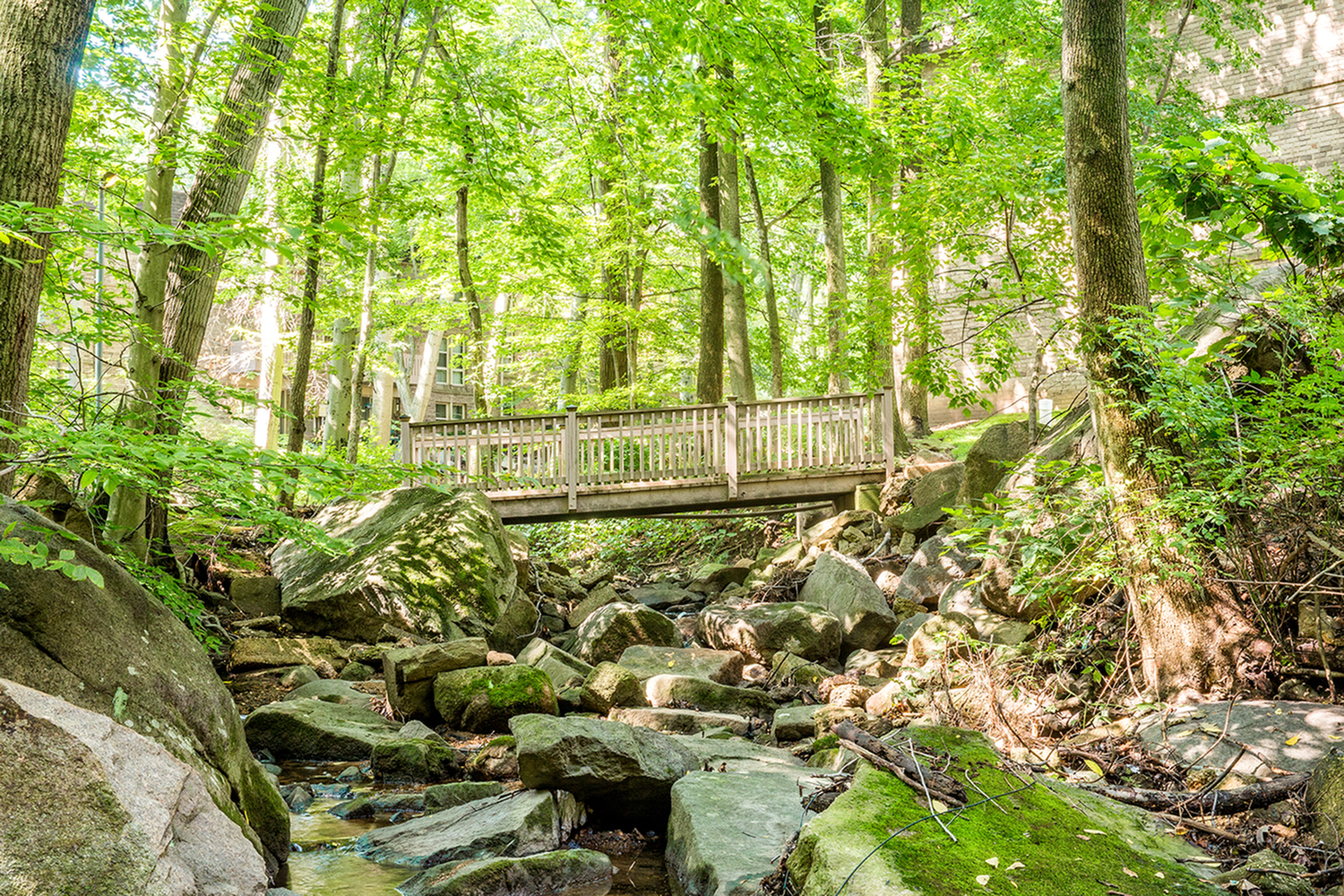 Beautifully landscaped grounds with wooden bridge