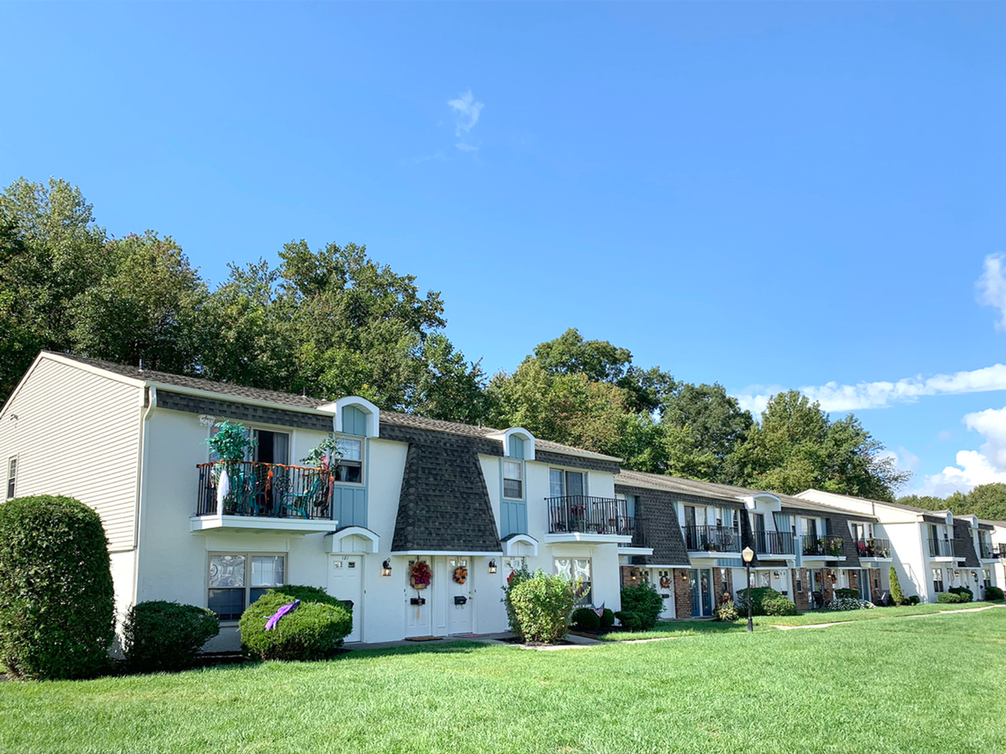 Street view of the apartments surrounded by trees