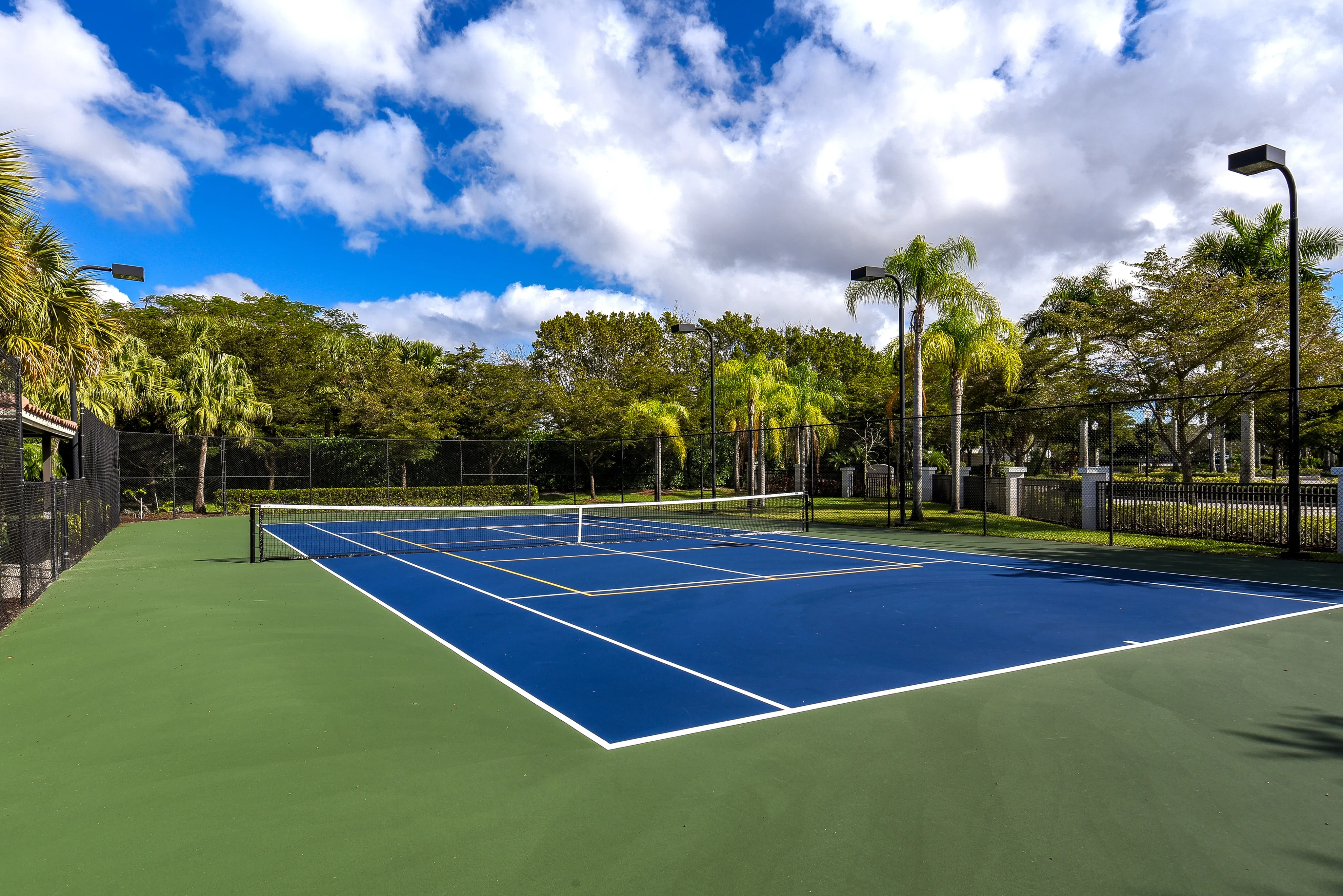 Pickleball and Tennis Court