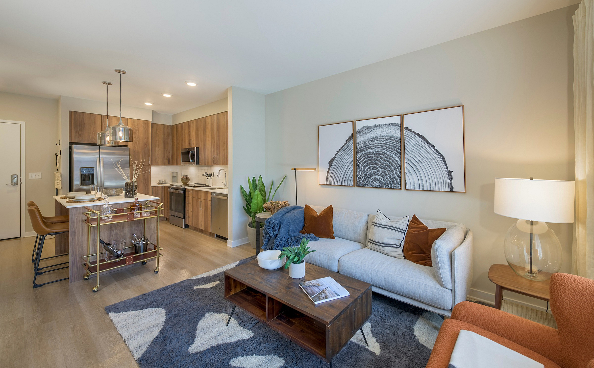 Model Apartment Living Area