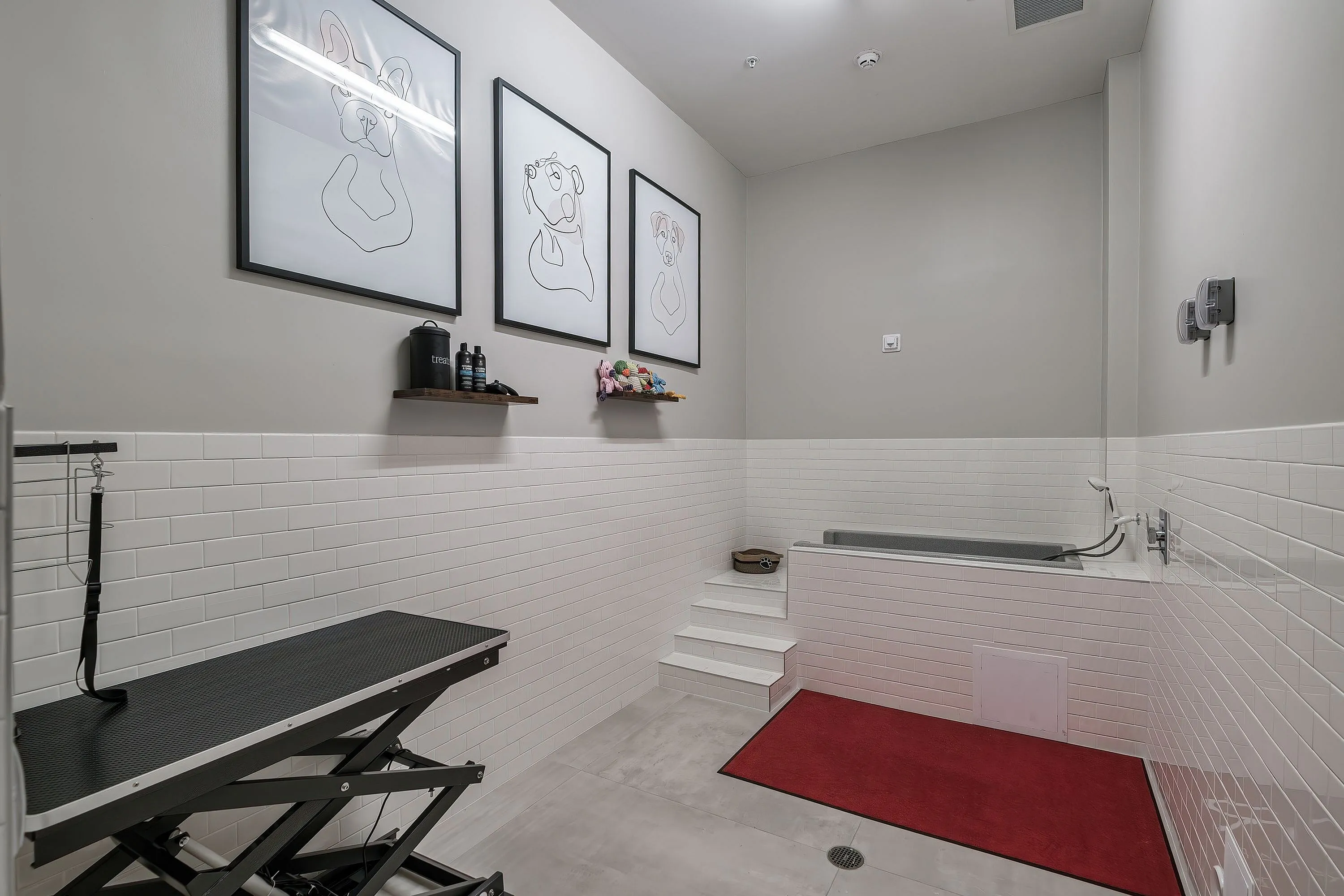 Dog Spa
