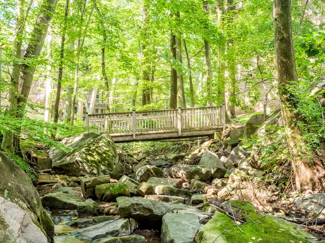 Nature