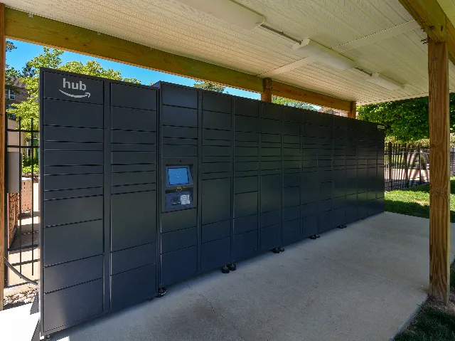 Amazon