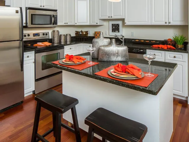 Stainless Steel Appliances