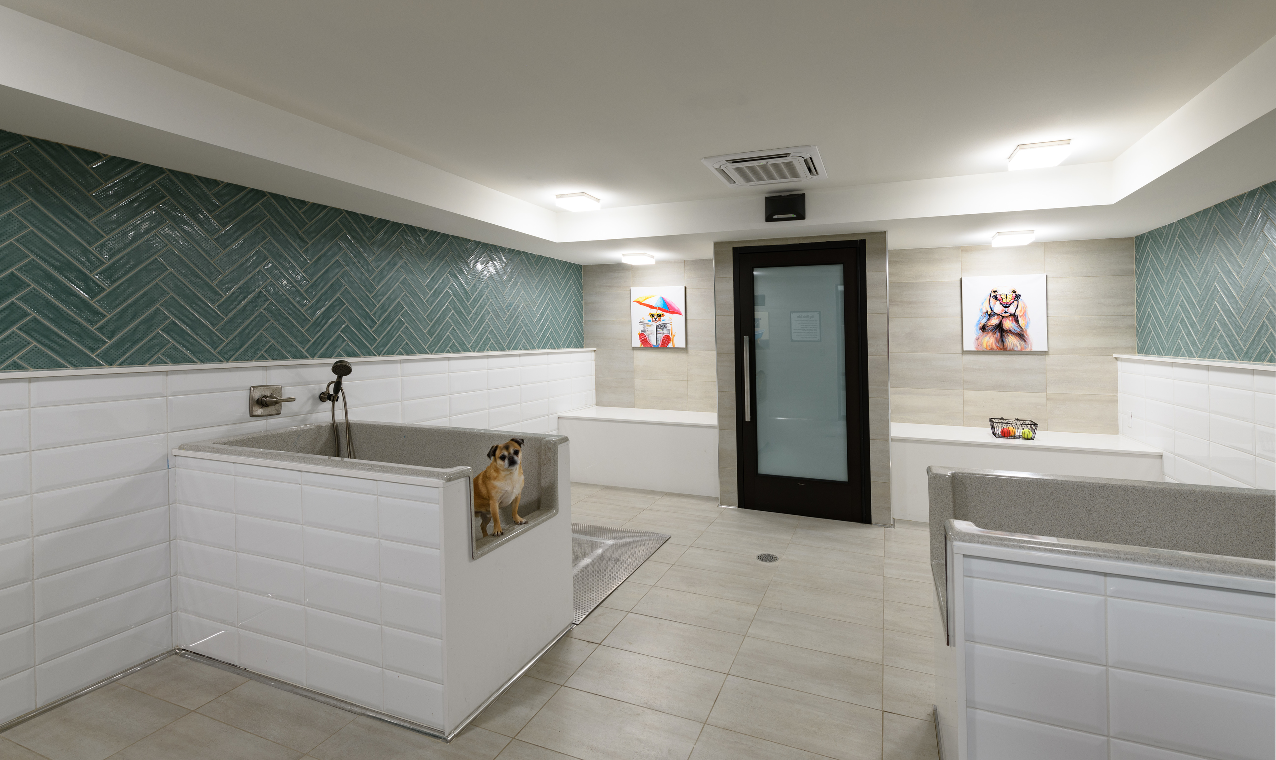 Pet Washing Station
