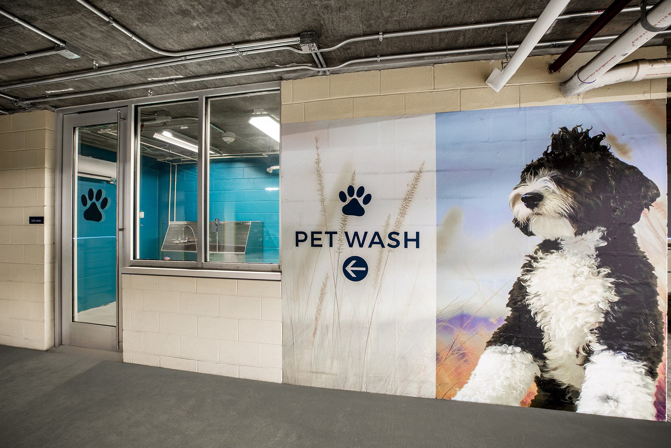 Pet Spa