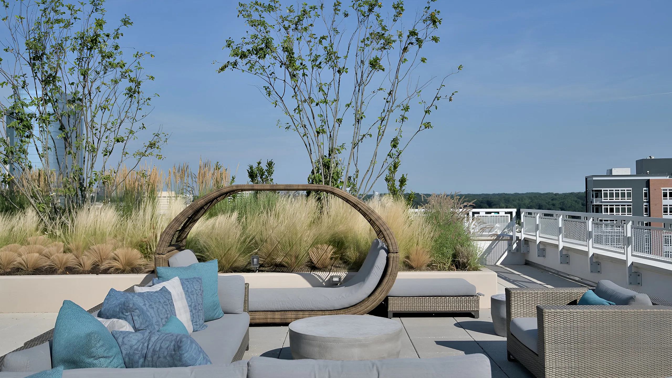 Roof Deck